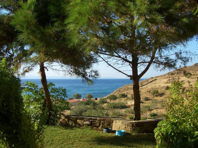 Zorbas Apartments 306800