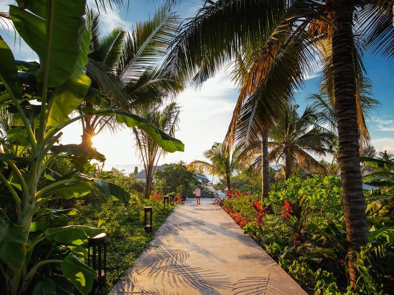 Zuri Zanzibar 323264