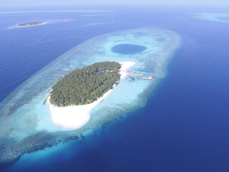  AaaVeee Nature s Paradise 228084