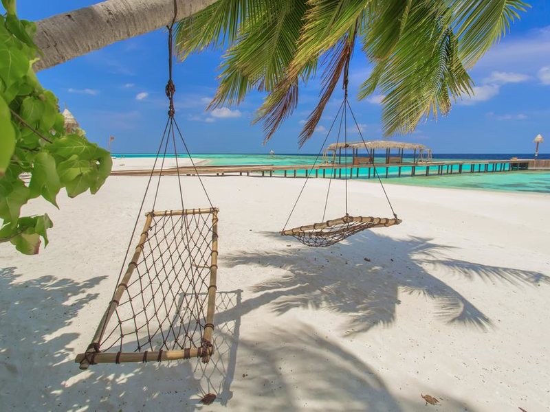  AaaVeee Nature s Paradise 228086