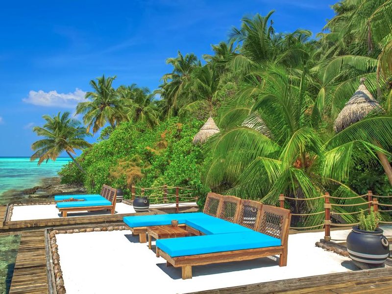  AaaVeee Nature s Paradise 228091