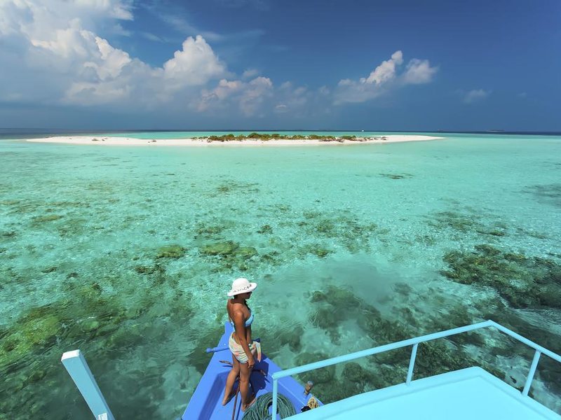  AaaVeee Nature s Paradise 228092