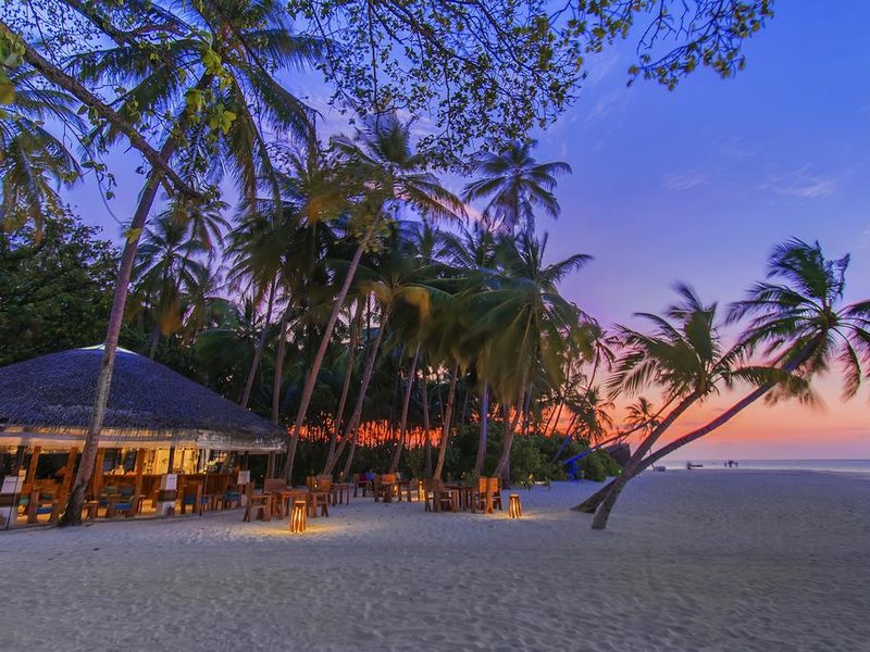  AaaVeee Nature s Paradise 228094