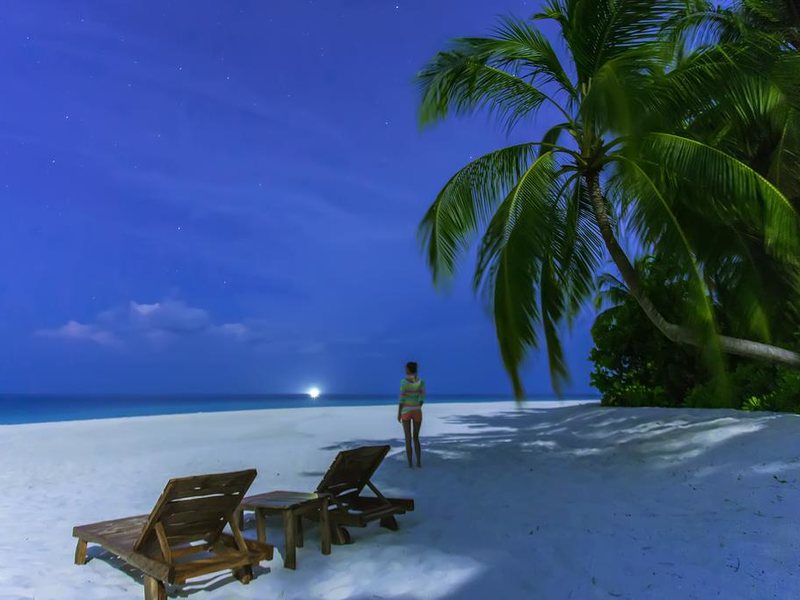  AaaVeee Nature s Paradise 228101