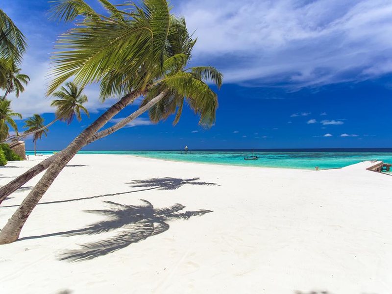  AaaVeee Nature s Paradise 228103