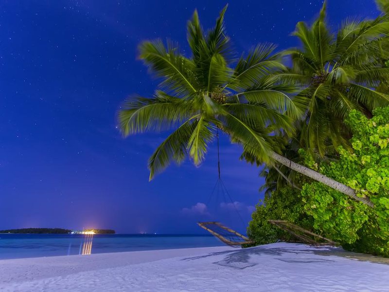  AaaVeee Nature s Paradise 228104