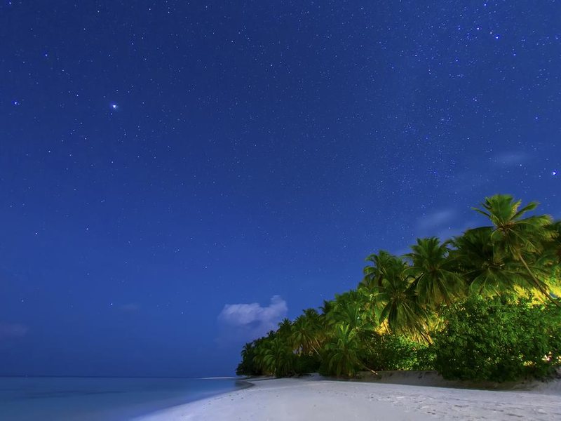  AaaVeee Nature s Paradise 228105