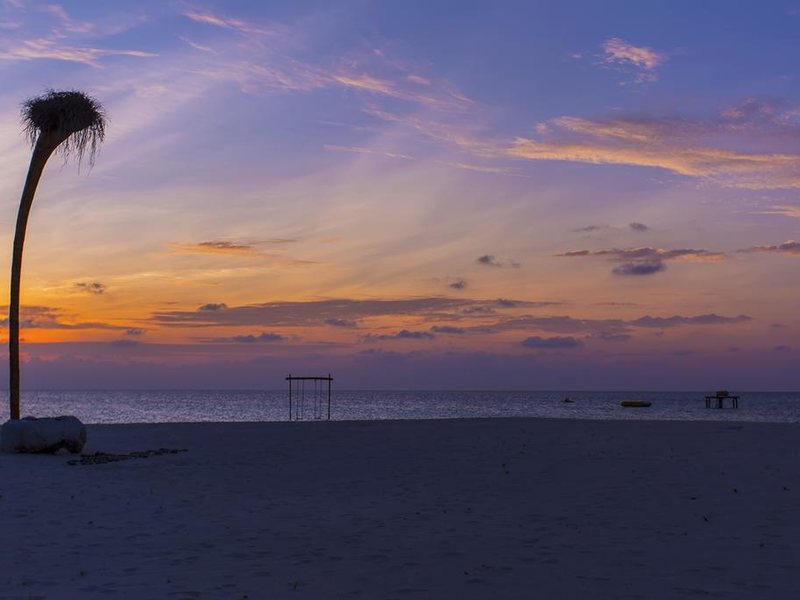  AaaVeee Nature s Paradise 228106