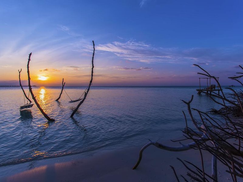  AaaVeee Nature s Paradise 228107