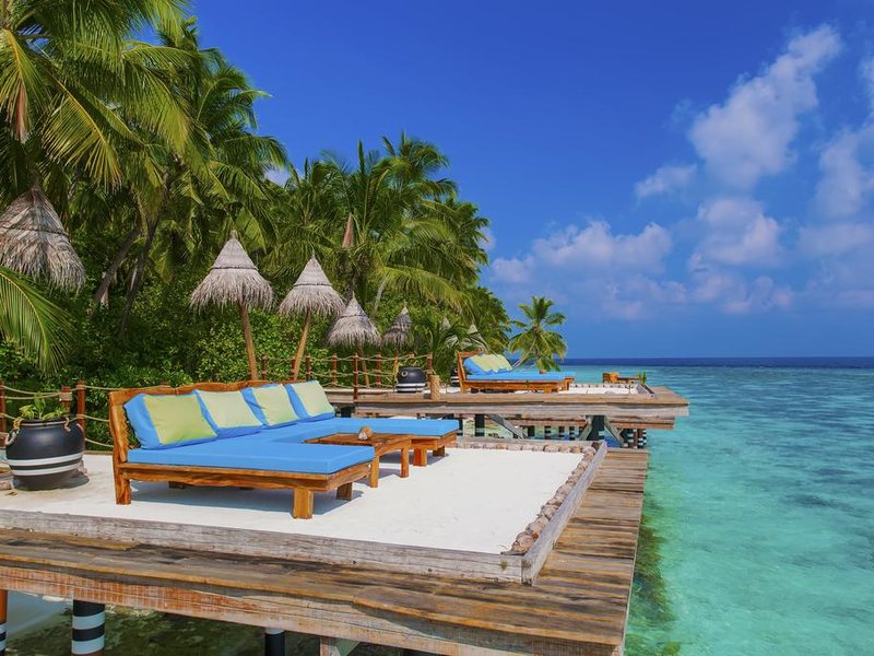  AaaVeee Nature s Paradise 228108