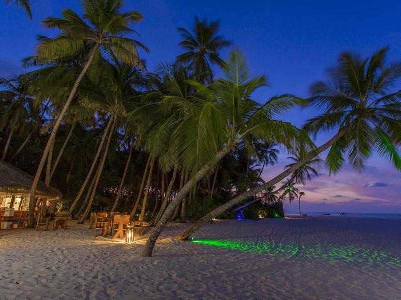  AaaVeee Nature s Paradise 228109