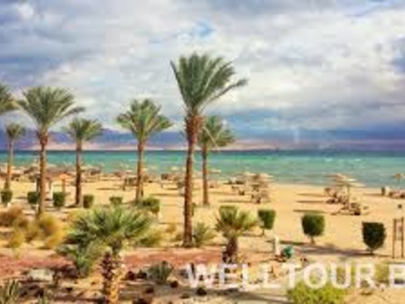 Система «FORTUNA»  318734