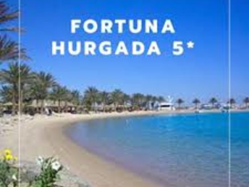 Система «FORTUNA»  318735