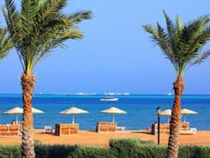 Система «FORTUNA»  318737